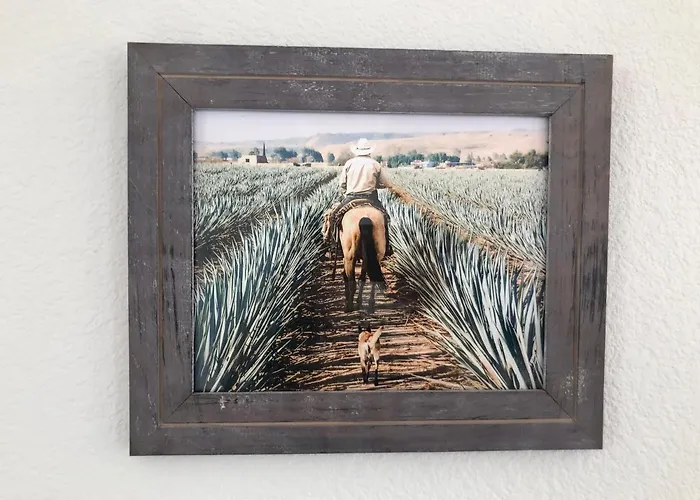 Holiday home The Agave Cowboy